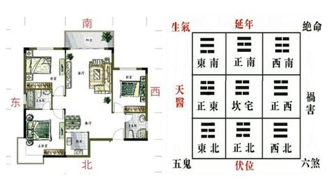 青龙位在哪里|青龙位放什么最好，青龙位适合摆放什么